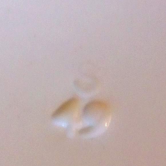 1949 Copeland Spode "" Fruit & Flowers" Hand Painted Porcelain by J. Price - Picture 8 of 10